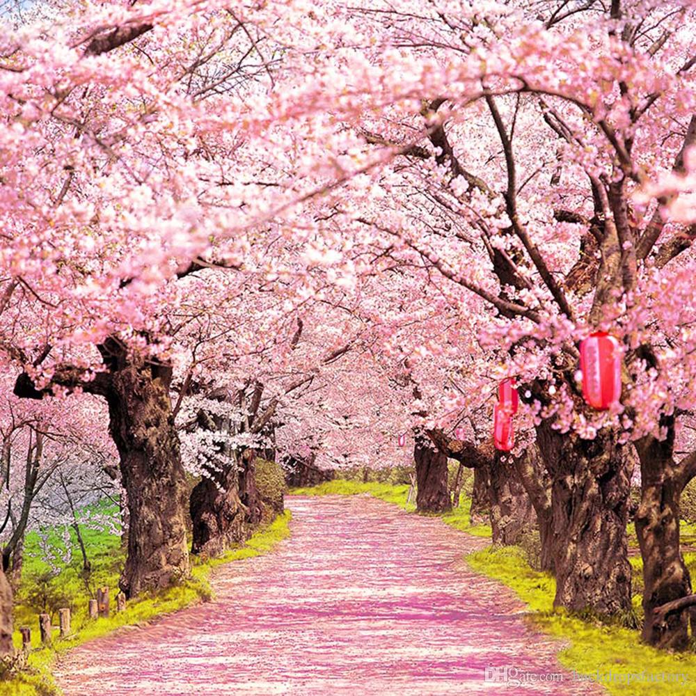 United States Cherry Blossom